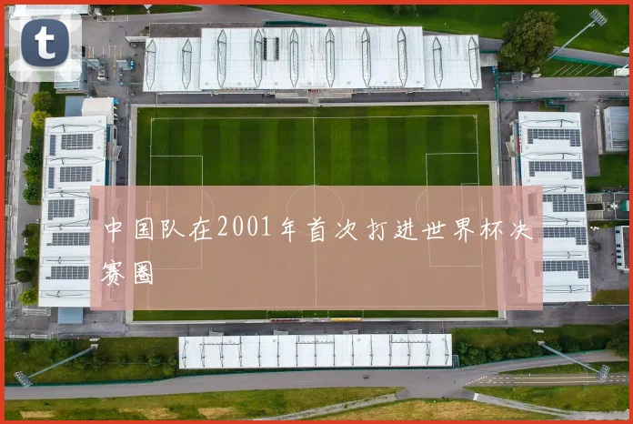 中国队在2001年首次打进世界杯决赛圈