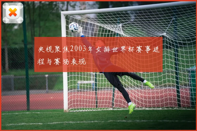 央视聚焦2003年女排世界杯赛事进程与赛场表现