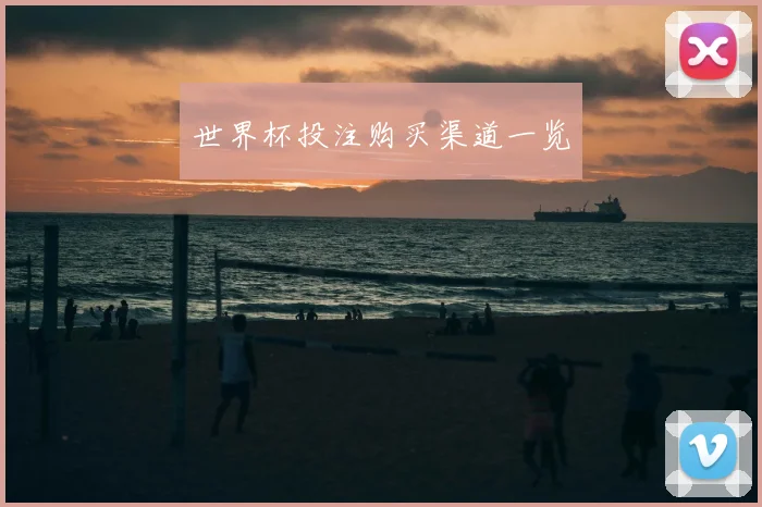 世界杯投注购买渠道一览