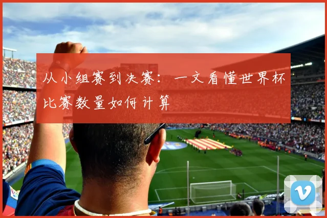 从小组赛到决赛:一文看懂世界杯比赛数量如何计算