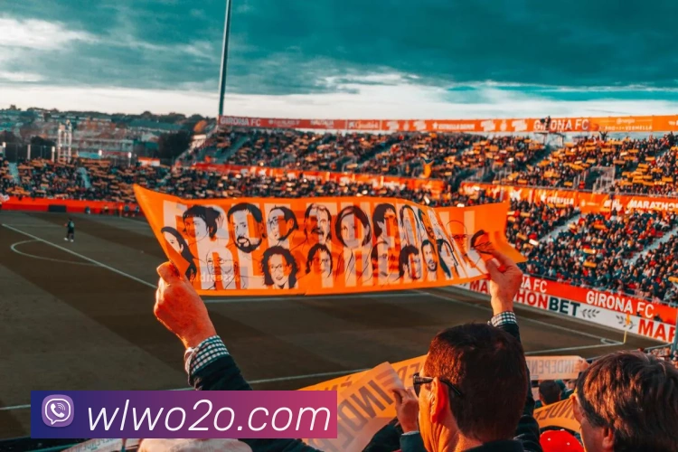 App Interface Preview